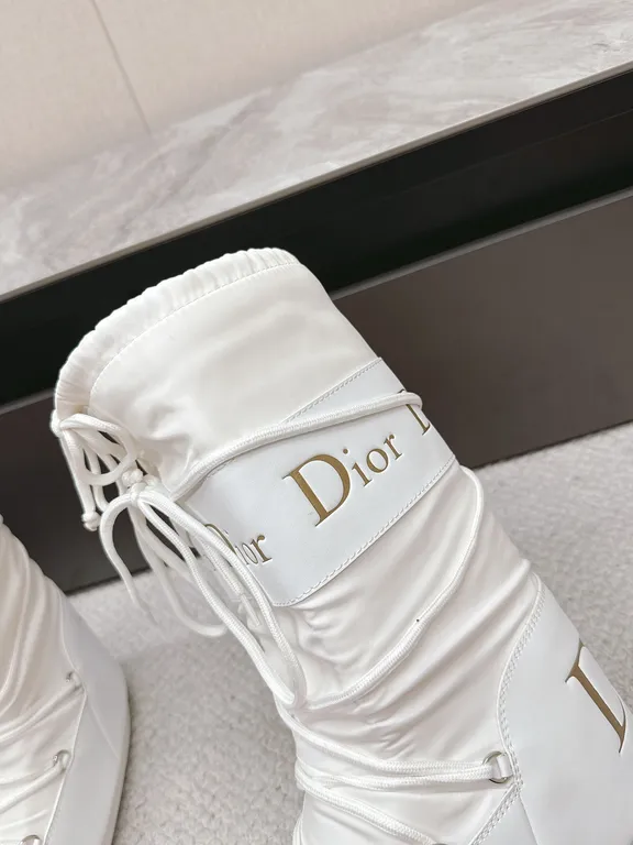 Dior Shoe 